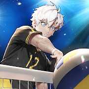 The Spike Volleyball Story