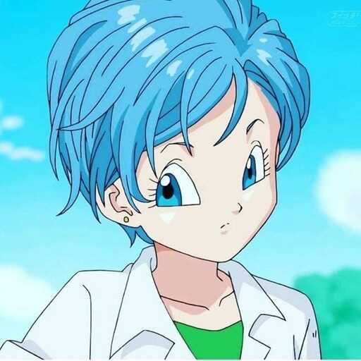 Bulma Adventure 4