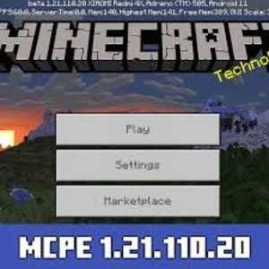Minecraft 1.21.110.20