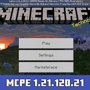 Minecraft 1.21.120.21