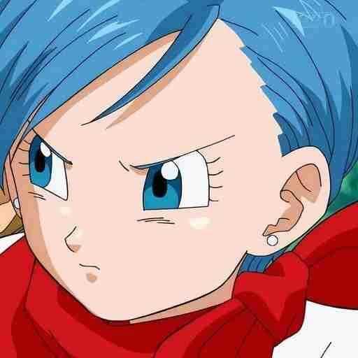Bulma Adventure
