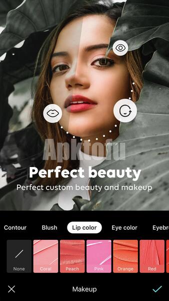 B612 Premium Mod APK
