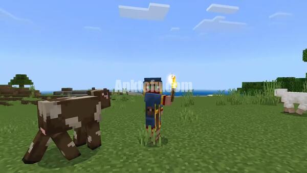 Actions And Stuff Bedrock APK