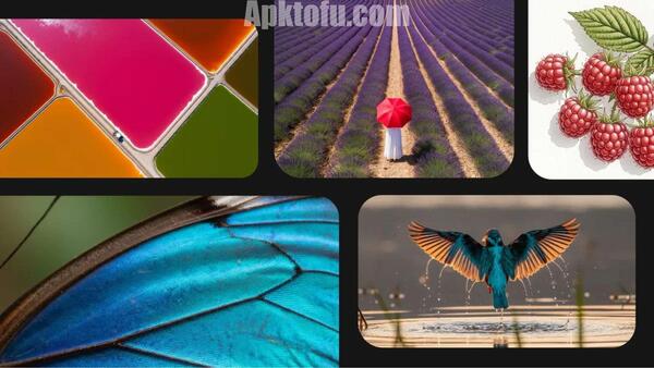 Google Veo 3 Free APK