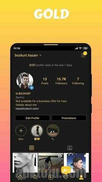 GoldView Instagram APK